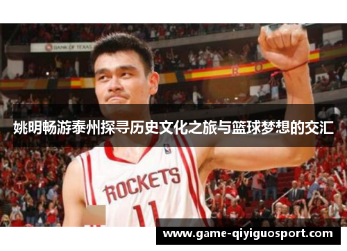 姚明畅游泰州探寻历史文化之旅与篮球梦想的交汇